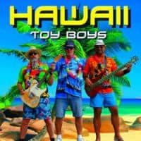 Hawaii Toy Boys coverband after beach