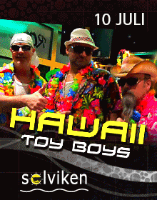 Hawaii Toy Boys