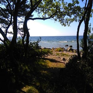 Sommar på Gotland